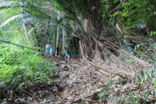 Ryan and Vivian February 2014